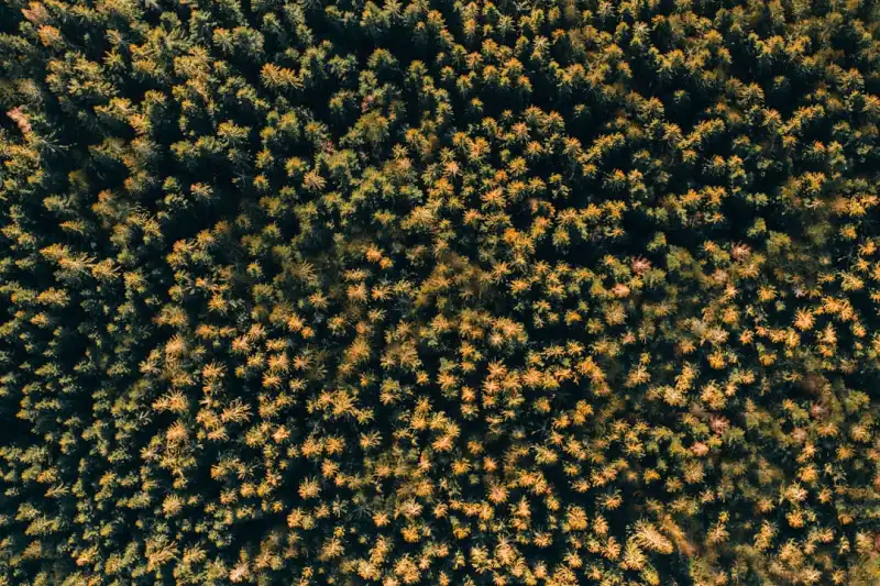 华北地区建筑外墙保温项目选用石墨聚苯板的优势分析