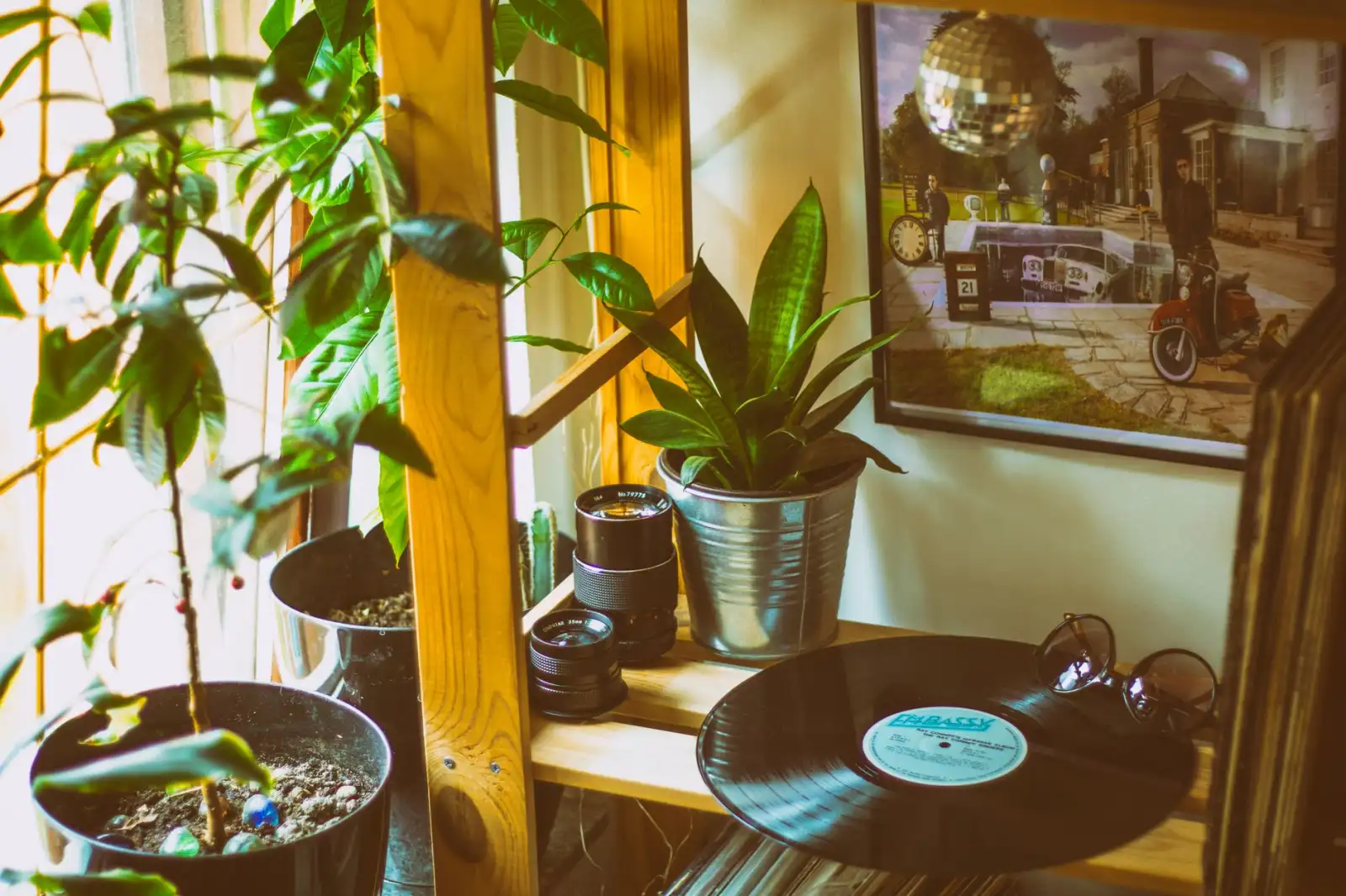 建筑节能背景下保温板与隔热板在绿色建筑中的应用趋势正文配图 2